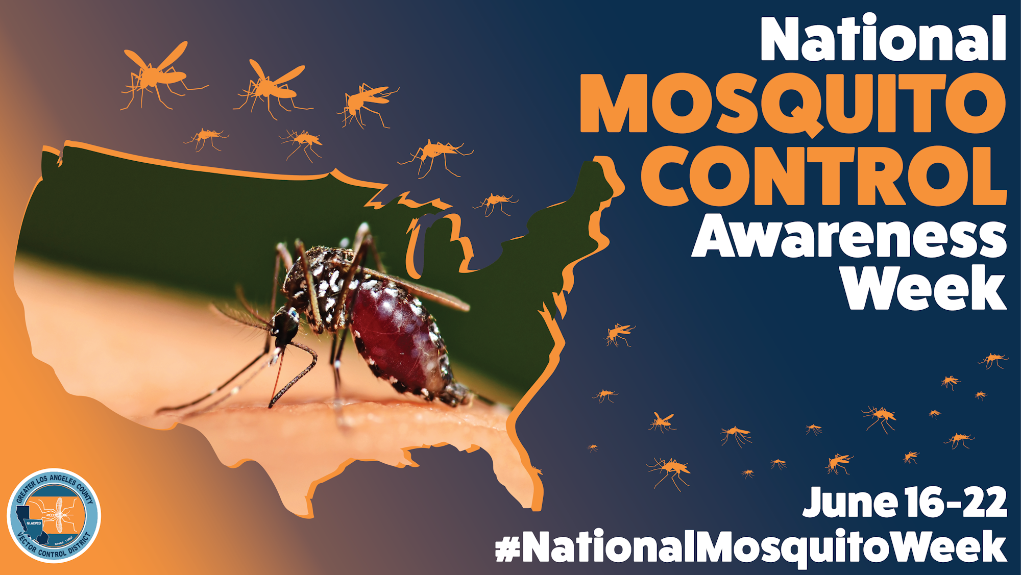 National Mosquito Control Awareness Week Greater Los Angeles County National Mosquito Control Awareness Week Greater Los Angeles County